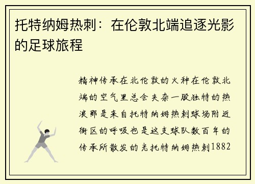 托特纳姆热刺：在伦敦北端追逐光影的足球旅程