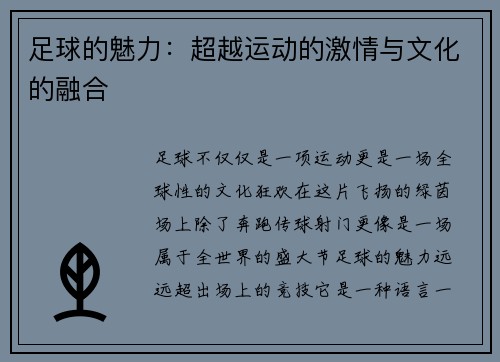 足球的魅力：超越运动的激情与文化的融合